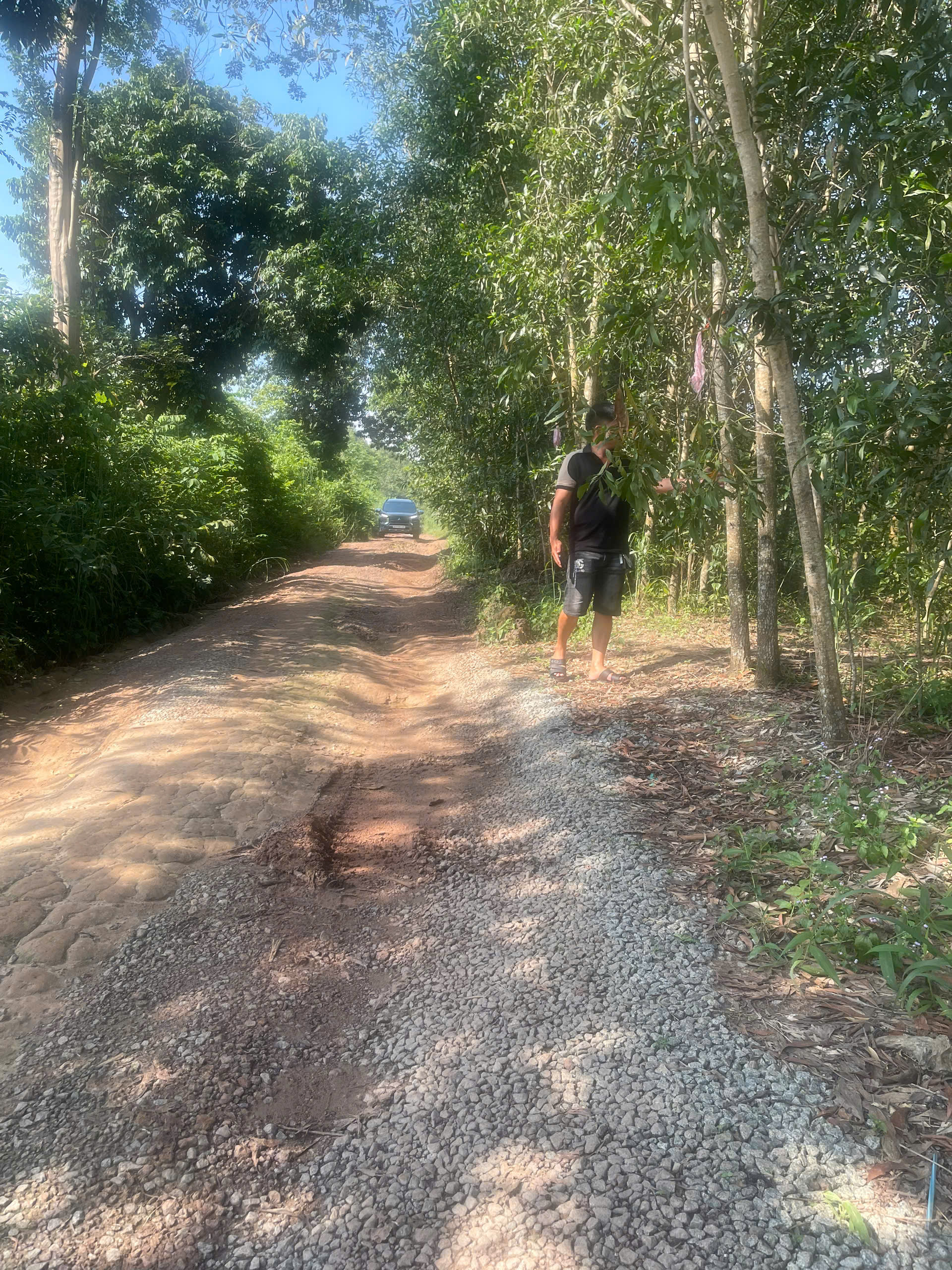 ►  CẦN BÁN ĐẤT TẠI BẮC TÂN UYÊN - BÌNH DƯƠNG