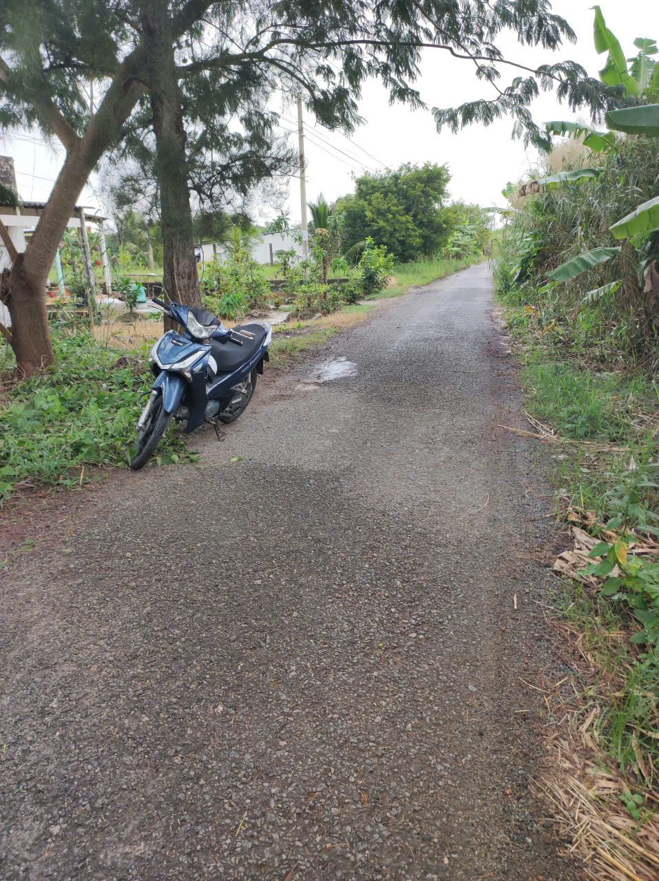 Chính chủ cần bán nhanh đất đẹp giá rẻ tại Đông Hải Bạc Liêu