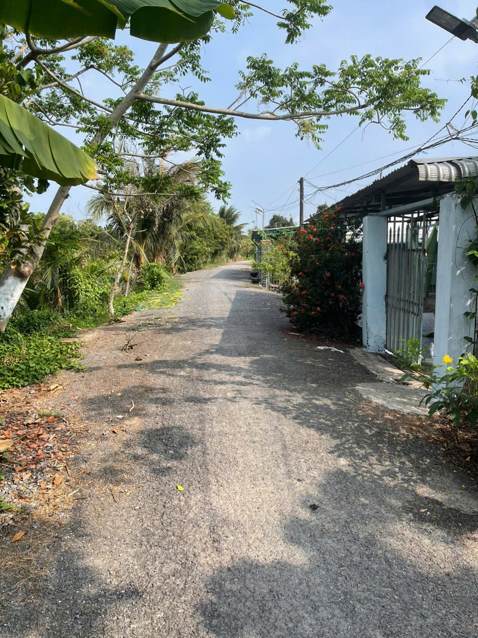 BÁN ĐẤT CÓ NHÀ – HÒA TRUNG, HÒA TÂN, CHÂU THÀNH, ĐỒNG THÁP