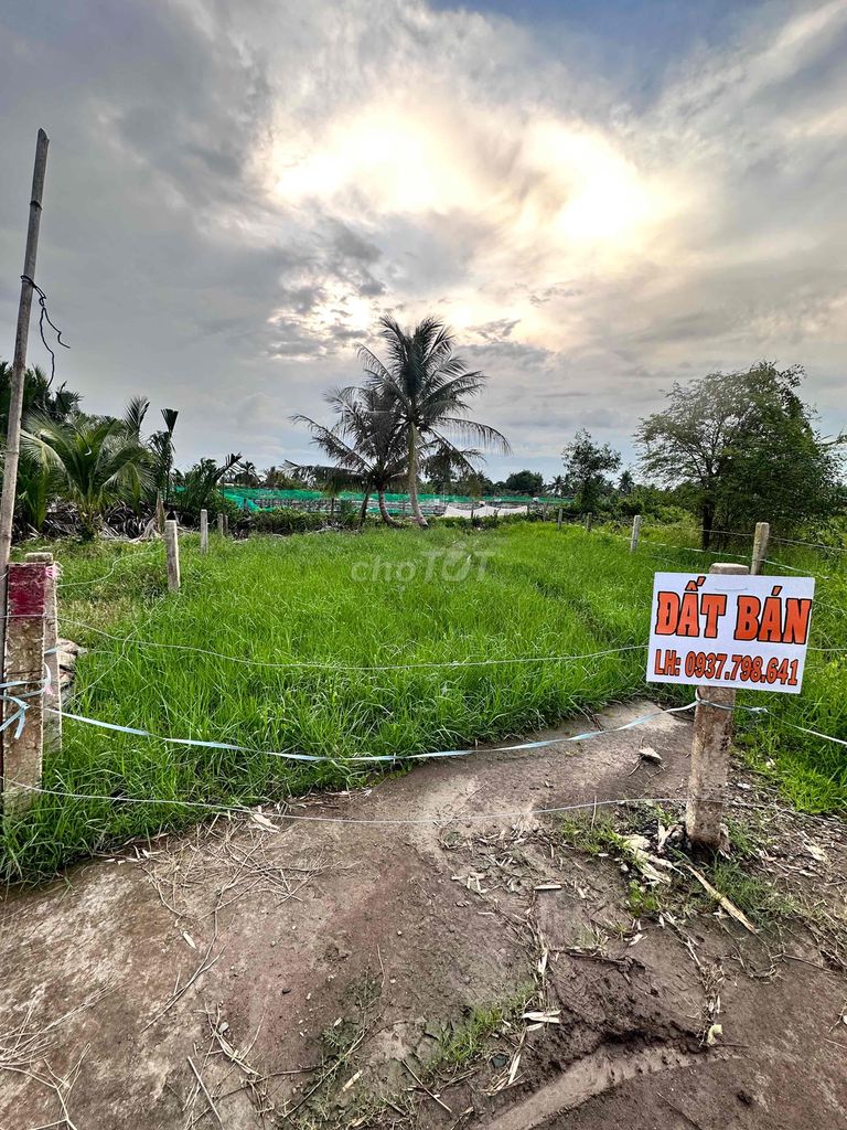 CẦN BÁN ĐẤT HUYỆN TÂN TRỤ, LONG AN