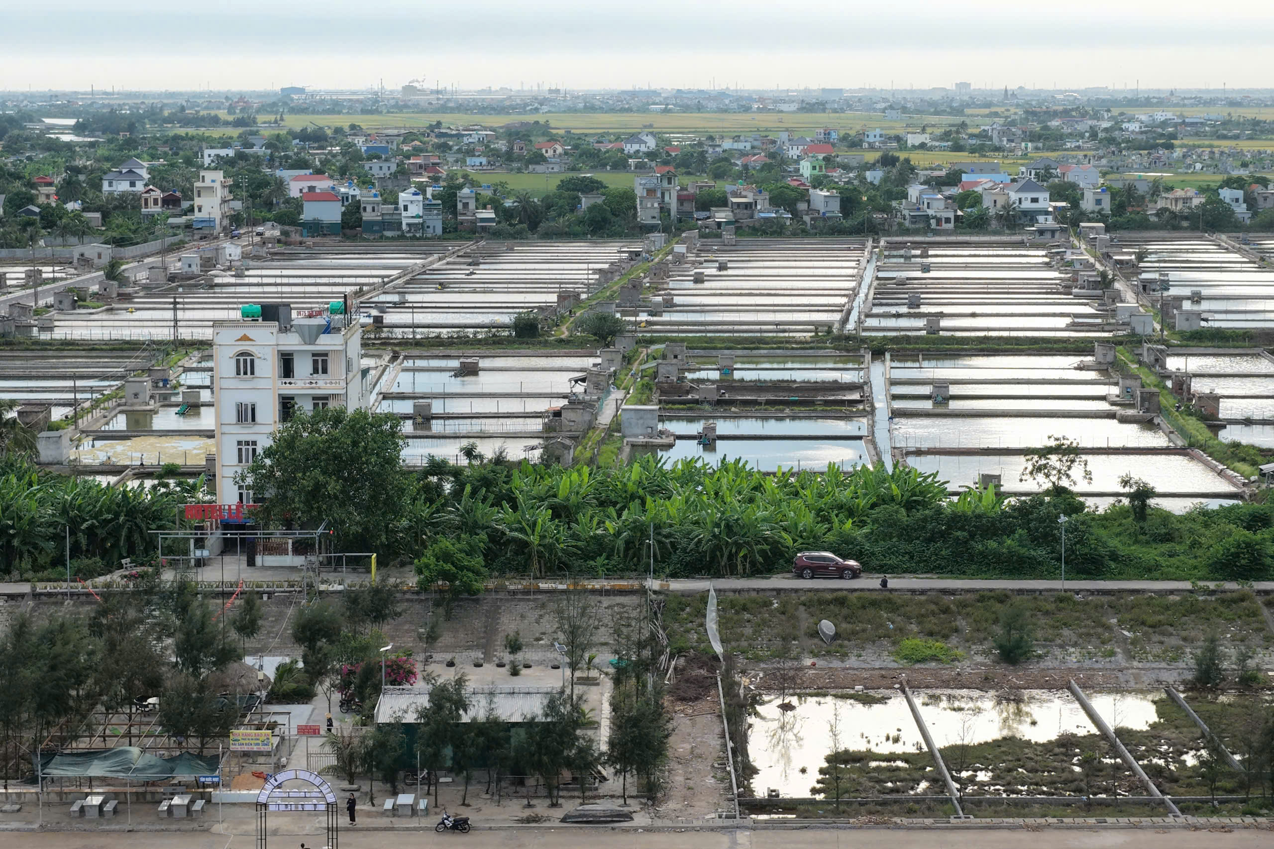 ♦ ĐẤT MẶT BIỂN ĐỒNG CHÂU - HƯNG YÊN | HÀNG HIẾM - KHÔNG CÓ LÔ THỨ 2! ♦