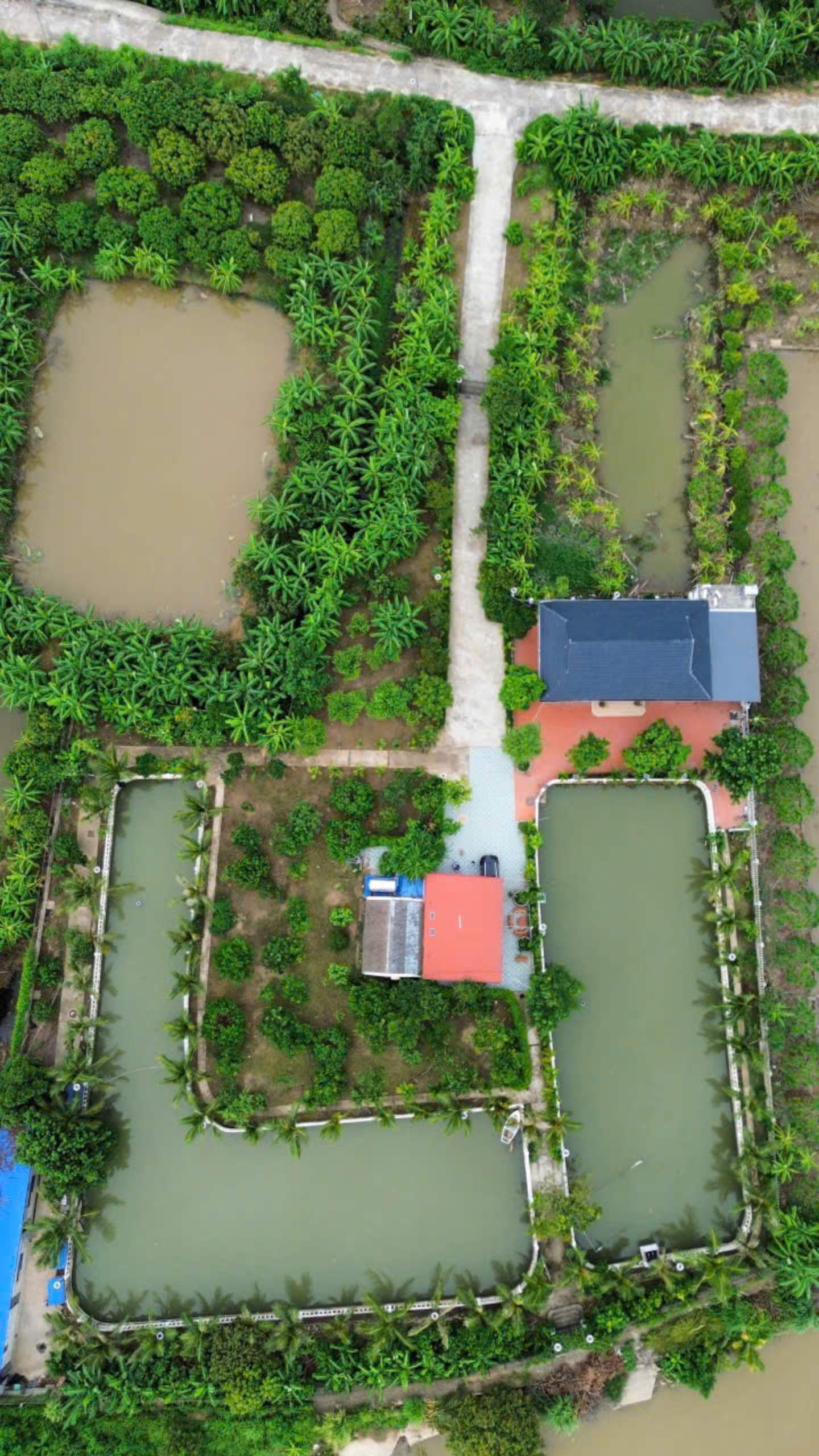 BÁN KHU NGHỈ DƯỠNG SINH THÁI GIA ĐÌNH TẠI AN LÃO – HẢI PHÒNG