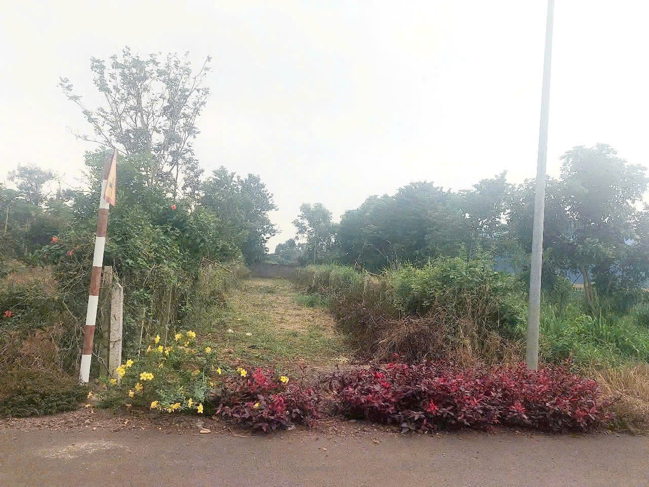 -Do chuyển công tác xa và không có người quản lý, tôi cần bán lô đất chính chủ tại Thị trấn Kim Long, Huyện Châu Đức, Bà Rịa – Vũng Tàu (cũ), nay thuộc TP. Hồ Chí Minh.