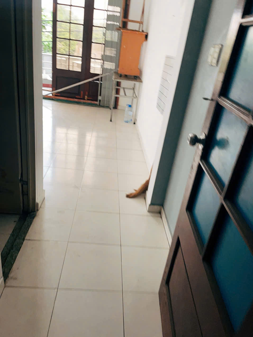 Phòng 40 m²cho thuê giá rẻ
