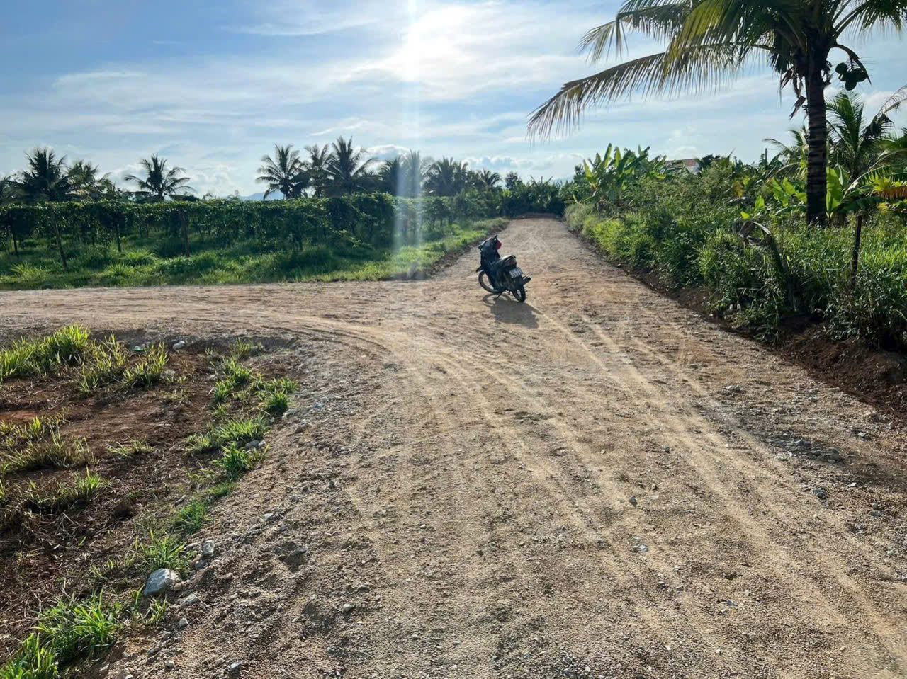 ► BÁN NGUYÊN COMBO 07 LÔ ĐẤT – GIÁ SIÊU TỐT