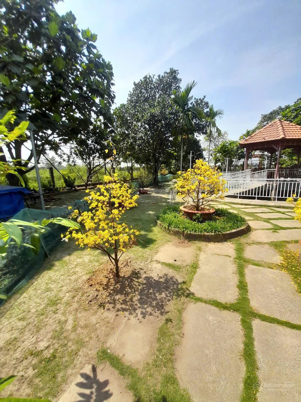 https://batdongsanviet.info.vn/uploads/images/upload/21-08-26/1787281216767_9081825524660048402_9081825524660048402_b5b68896d26db38f65558b030096dee0.jpg