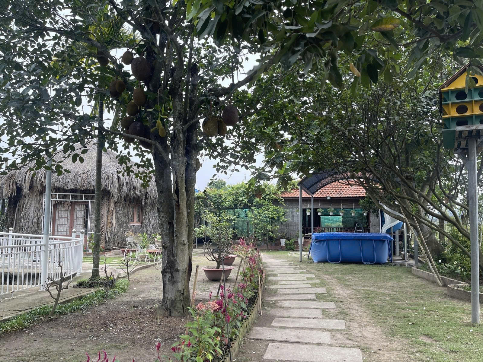 https://batdongsanviet.info.vn/uploads/images/upload/21-08-26/1787281216769_9081825524660048402_9081825524660048402_6e2c1fa7d082afe7326c5c23063a4ff7.jpg