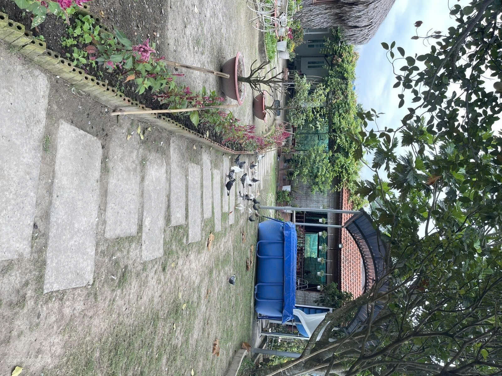 https://batdongsanviet.info.vn/uploads/images/upload/21-08-26/1787281216770_9081825524660048402_9081825524660048402_20369e40c45f33a06c413250551b5a19.jpg