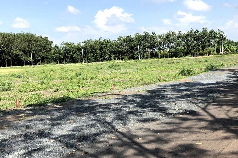 BÁN HOẶC CHO THUÊ 1.500M² ĐẤT CLN GIÁ TỐT – ĐƯỜNG BÔNG VĂN DĨA, TÂN NHỰT, BÌNH CHÁNH