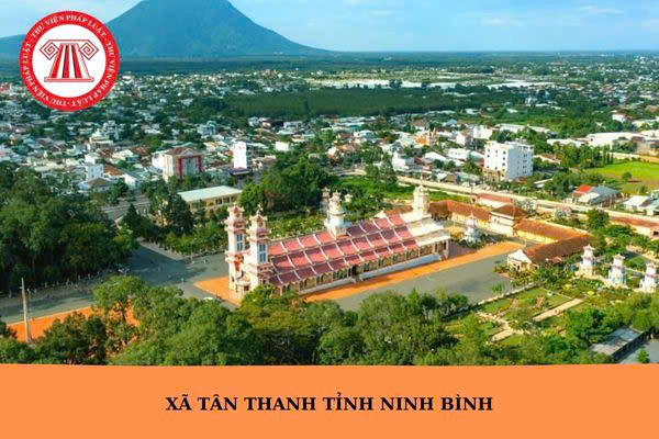 ► CẮT LỖ SÂU – BÁN GẤP LÔ ĐẤT HOA HẬU KHU ĐẤU GIÁ THANH PHONG, THANH LIÊM, HÀ NAM