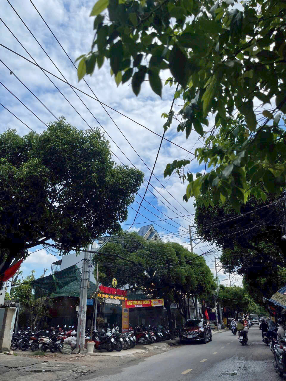 https://batdongsanviet.info.vn/uploads/images/upload/22-07-26/z8068506118368_395a5ffedbb8788898ff763c820ad7a3.jpg