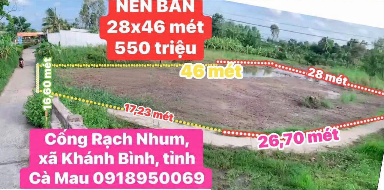 https://batdongsanviet.info.vn/uploads/images/upload/22-09-26/1790043382778_7063360279329286045_7063360279329286045_57ec73733e00c4cc0c94c5b82025ec89.jpg