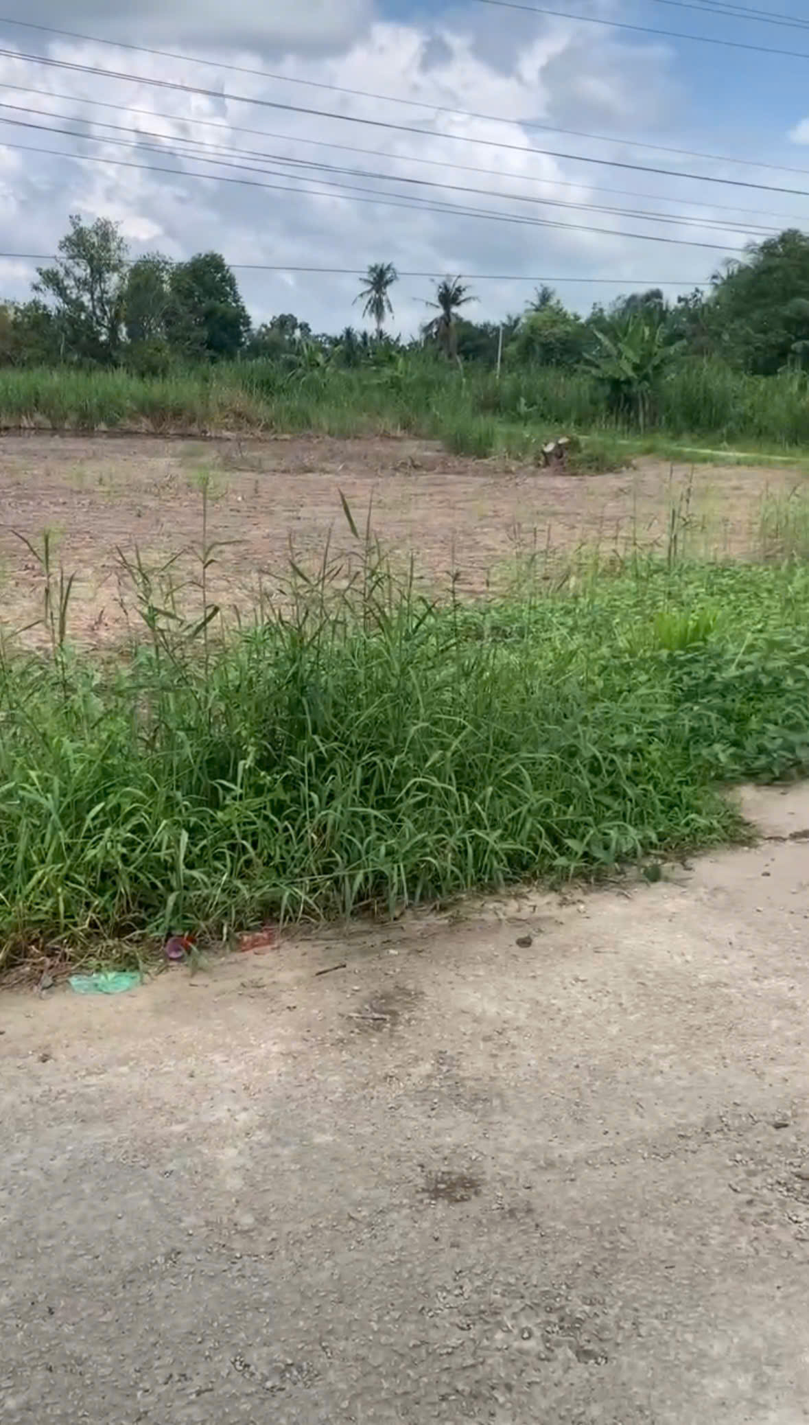 https://batdongsanviet.info.vn/uploads/images/upload/22-09-26/1790043382830_7063360279329286045_7063360279329286045_ac41fc839d6286007ac039c2ec690e6a.jpg