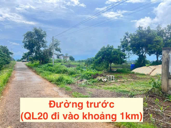 https://batdongsanviet.info.vn/uploads/images/upload/22-09-26/1790043510256_276634054203960100_6661684596556042625_944b66163990e5e37c616bdd9e692a1a.jpg