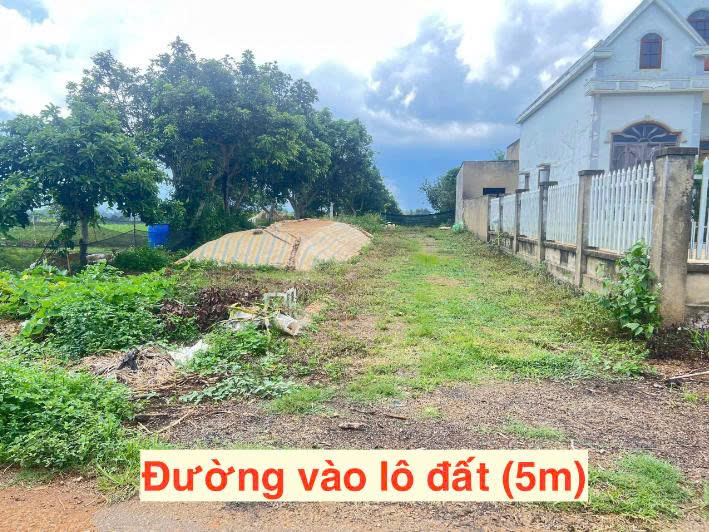 https://batdongsanviet.info.vn/uploads/images/upload/22-09-26/1790043525312_276634054203960100_6661684596556042625_3161818f1d1f0b4943dc012f135be434.jpg