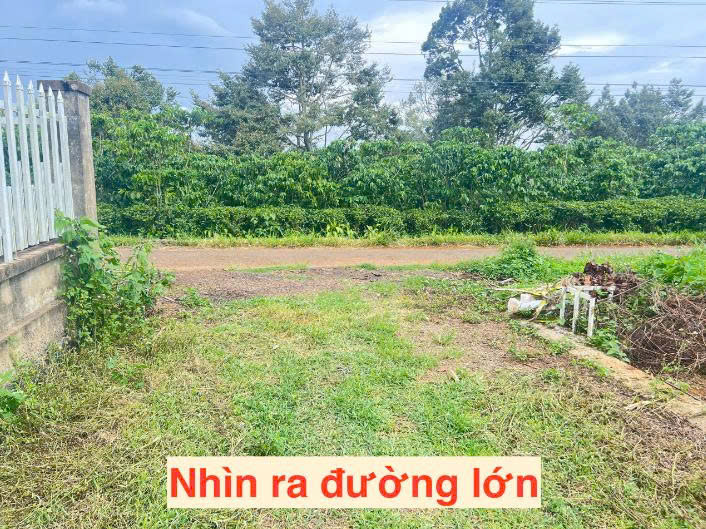 https://batdongsanviet.info.vn/uploads/images/upload/22-09-26/1790043539143_276634054203960100_6661684596556042625_47b4bdf03de807e66ae1a8a509dcd235.jpg