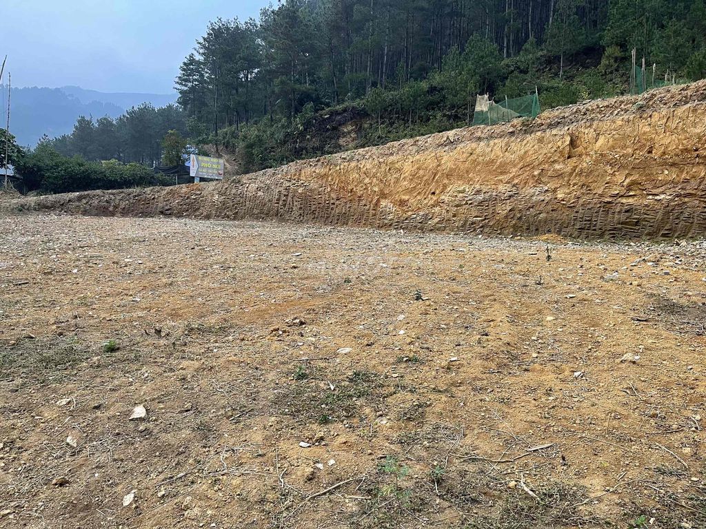 Gia đình cần chuyển nhượng 800m² đất vị trí đẹp tại trung tâm xã Tú Lệ, cách Le Charm Tú Lệ chỉ 300m.