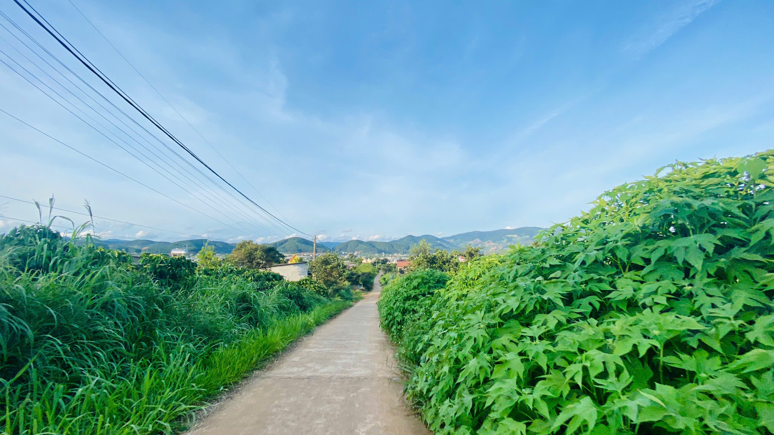 ► ĐẤT NAM BAN.LÂM HÀ.LÂM ĐỒNG