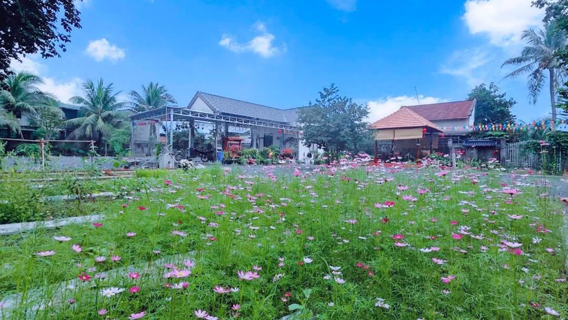 CHO THUÊ HƠN 2100M2 FARM TẠI DIÊN LẠC, DIÊN KHÁNH, KHÁNH HÒA.