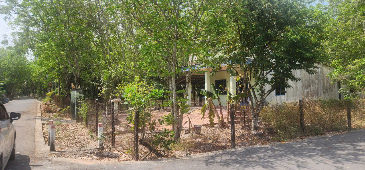 CẦN BÁN QUỸ ĐẤT LỚN 3 MẶT TIỀN NGAY SAU LƯNG CHỢ ĐỊNH HIỆP – DẦU TIẾNG