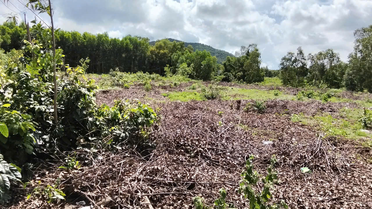 ►  BÁN ĐẤT 3 SÀO TẠI AN NGẢI – LONG HẢI