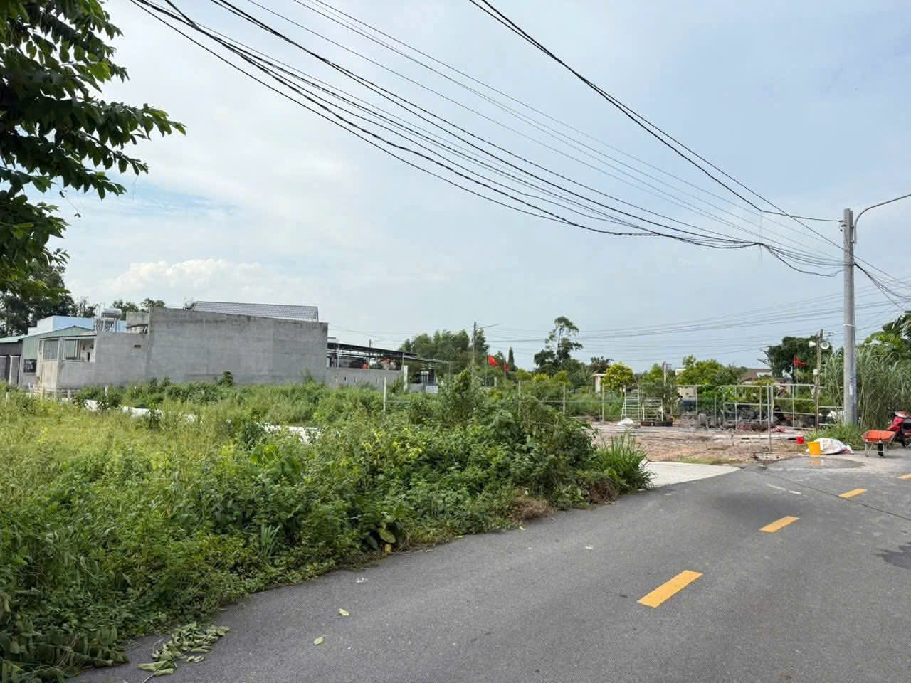 ►  BOM TẤN ĐẤT BIỂN PHƯỚC HẢI – MẶT TIỀN NHỰA HIẾM CÓ.