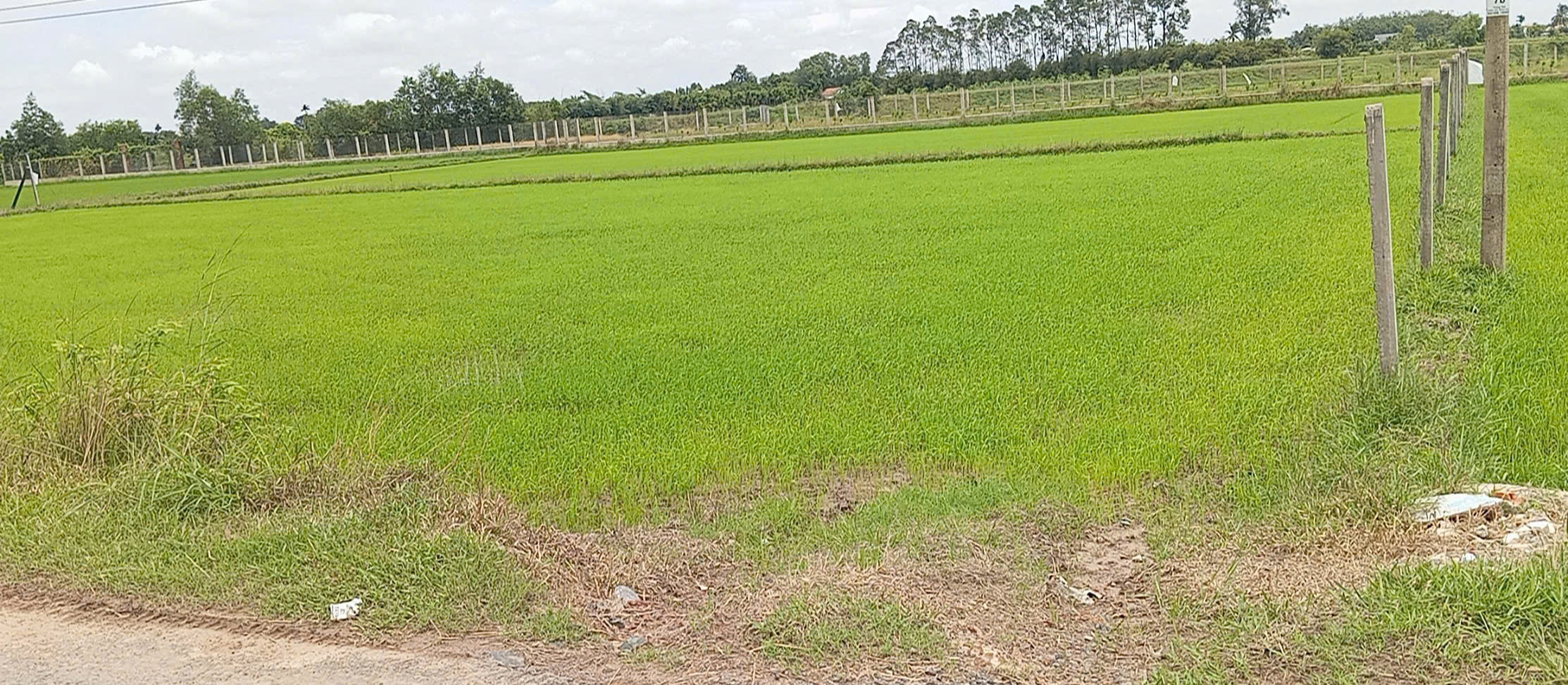 ►  CHÍNH CHỦ CẦN BÁN LÔ ĐẤT ĐẸP TẠI ẤP AN ĐƯỚC – XÃ AN TỊNH – TRẢNG BÀNG, TÂY NINH