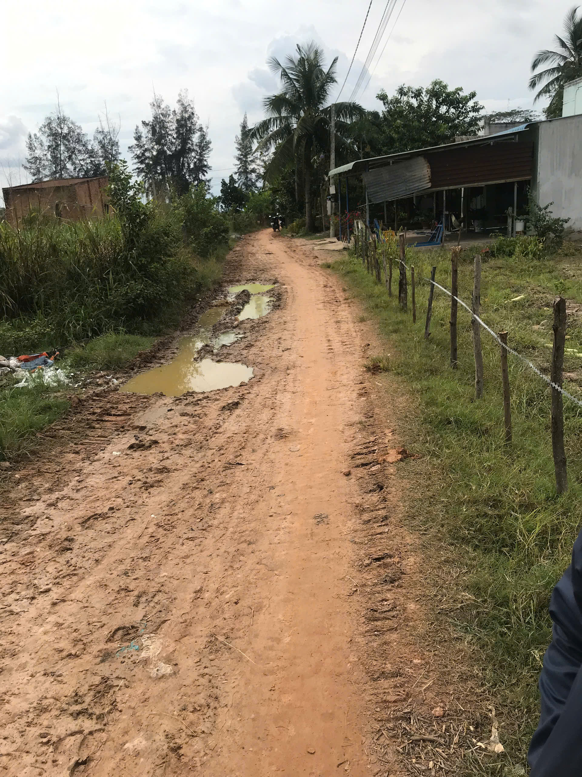 ► BÁN ĐẤT ĐẸP GIÁ RẺ – XÃ LONG PHƯỚC, HUYỆN BẾN CẦU, TÂY NINH.