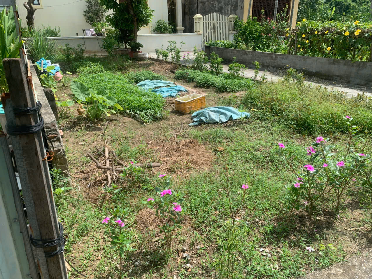 Bán mảnh đất khu vực tái định cư Hồ Sen cầu rào 2 tại đường Vĩnh Cát, phường An Biên ( phường Vĩnh Niện cũ), Hải phòng
