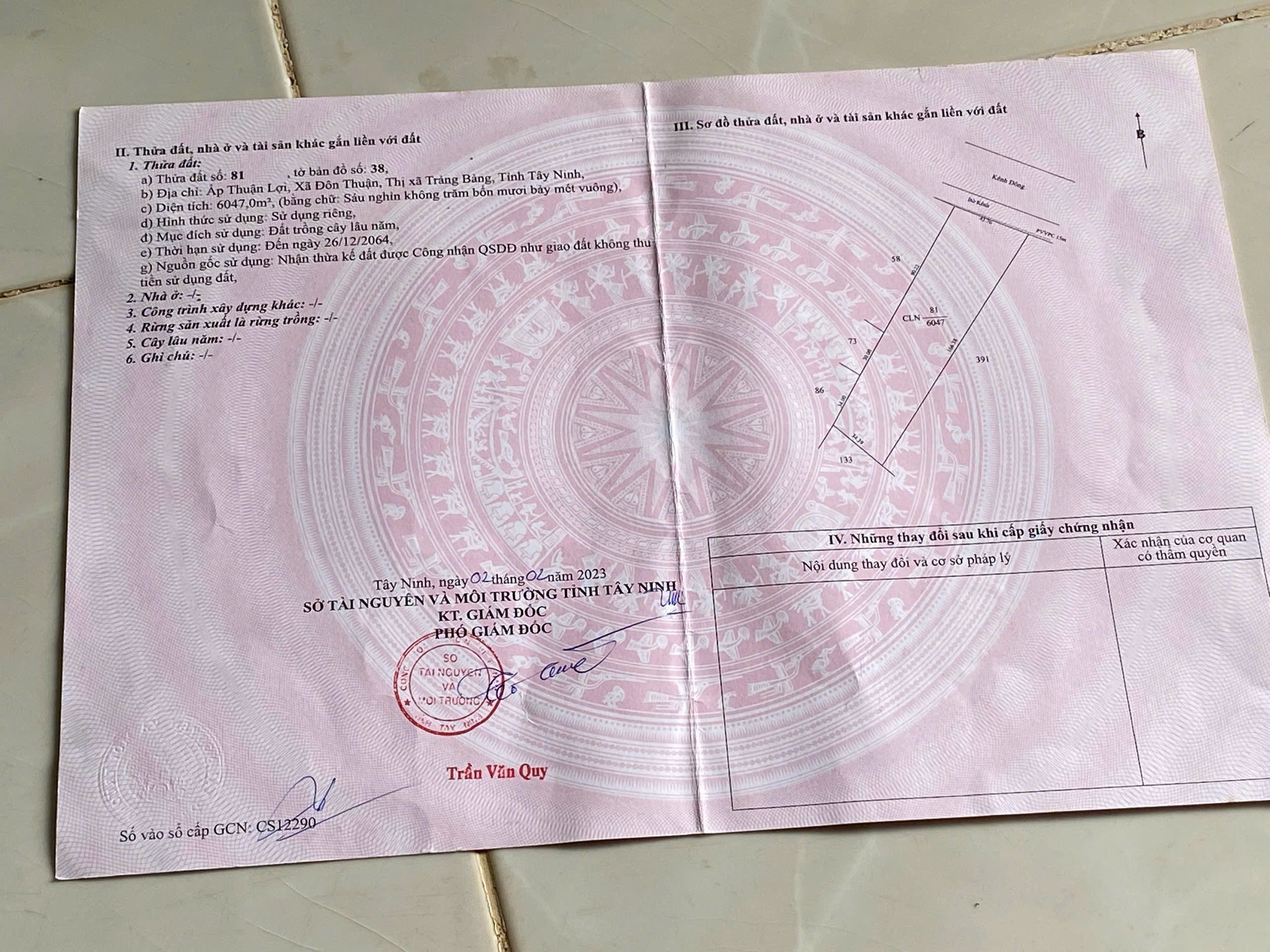 CƠ HỘI ĐẦU TƯ SINH LỜI CAO – ĐẤT MẶT TIỀN LỚN CÓ SẴN CAO SU THU HOẠCH