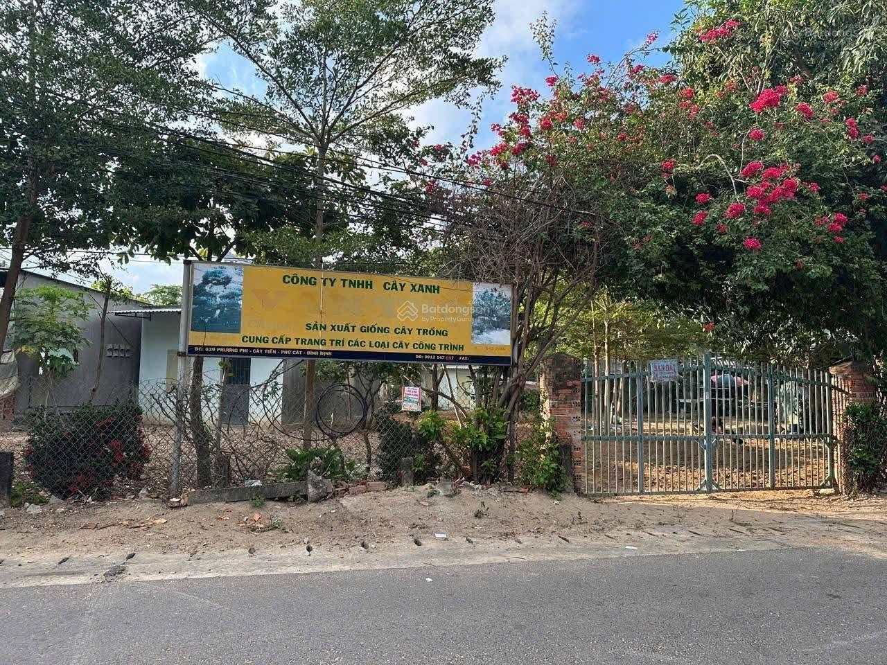 CHÍNH CHỦ BÁN ĐẤT MẶT TIỀN TL 639 – CÁT TIẾN – PHÙ CÁT