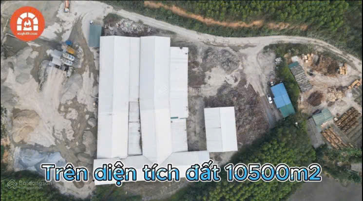 BÁN NHÀ XƯỞNG &amp; DÂY CHUYỀN MÁY MÓC VIÊN NÉN GỖ HUYỆN HẠ HÒA, PHÚ THỌ