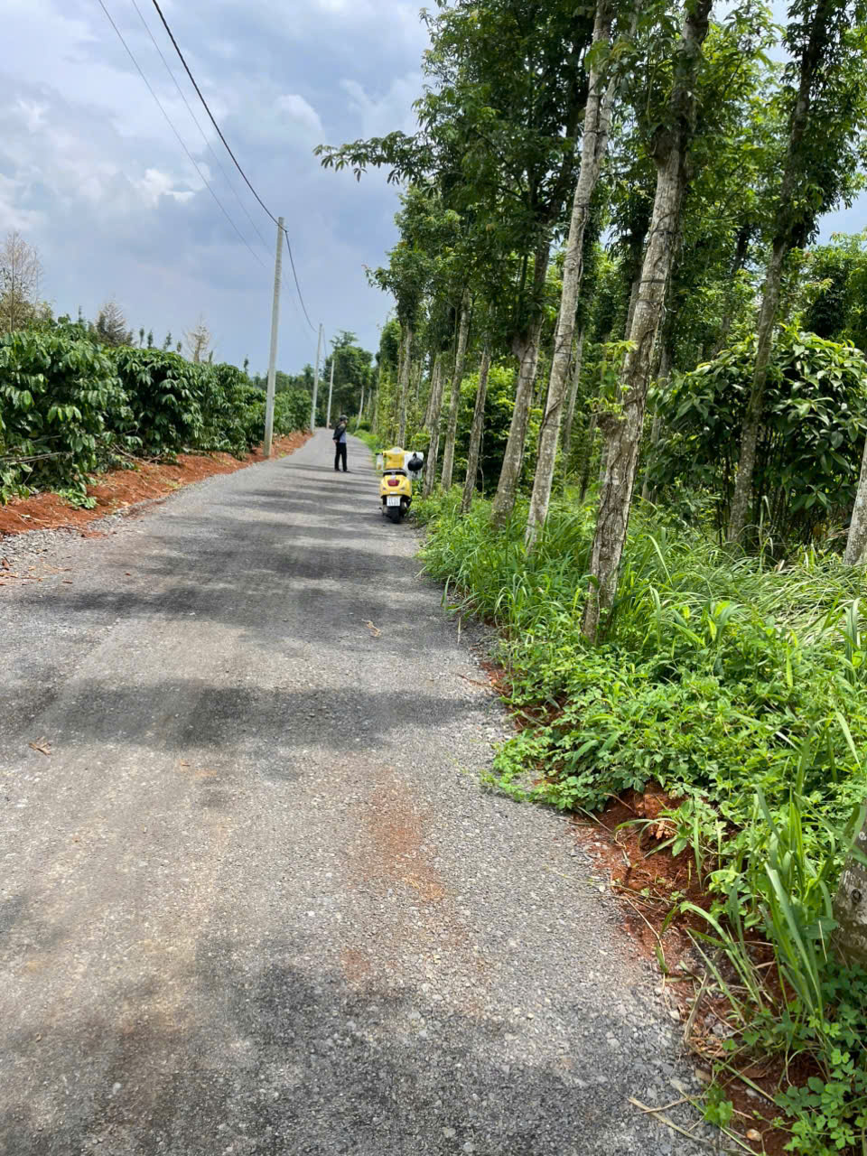 ►  BÁN ĐẤT NÔNG NGHIỆP 3 MẶT TIỀN – VỊ TRÍ ĐẸP GẦN HỒ KIM LONG