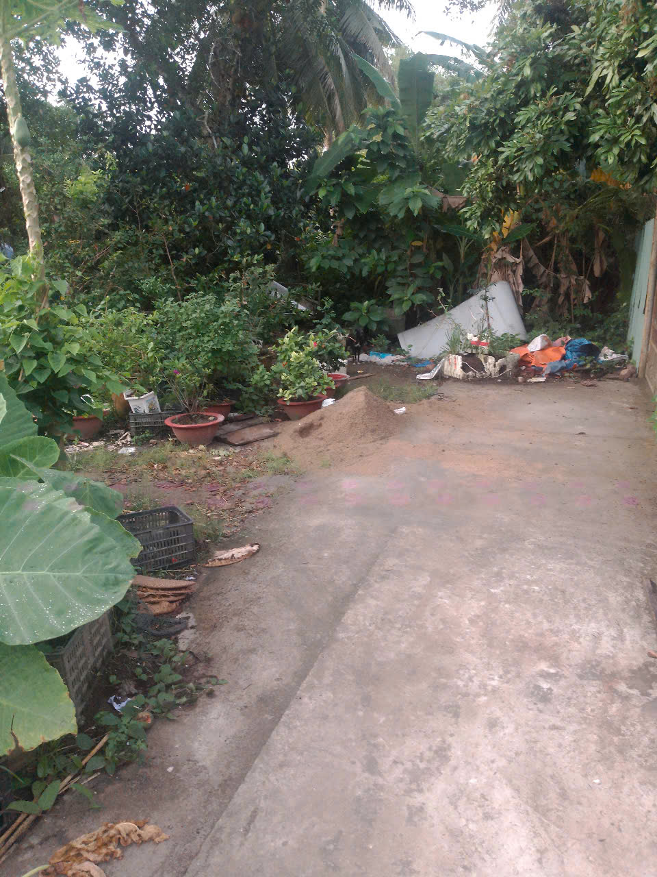 ► CƠ HỘI SỞ HỮU ĐẤT ĐẸP TP. VĨNH LONG – GIÁ CỰC TỐT