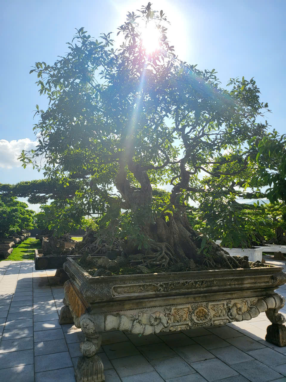 https://batdongsanviet.info.vn/uploads/images/upload/25-06-26/z7975160919828_79dbfa24778ca4480ab6034d7bc0adb4.jpg