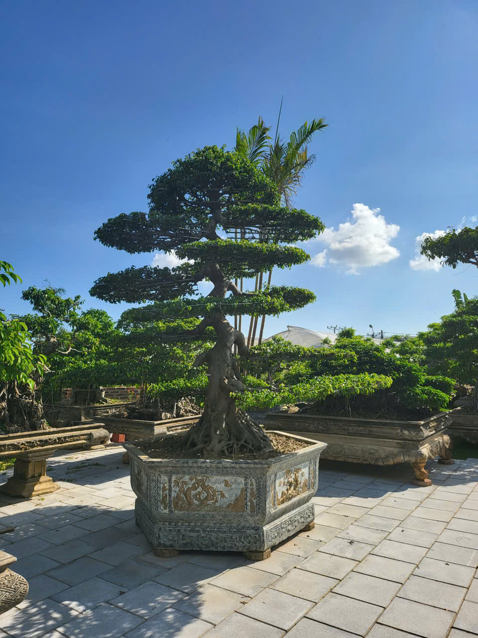 https://batdongsanviet.info.vn/uploads/images/upload/25-06-26/z7975160924071_10515a74ad21affe152c97001126a878.jpg