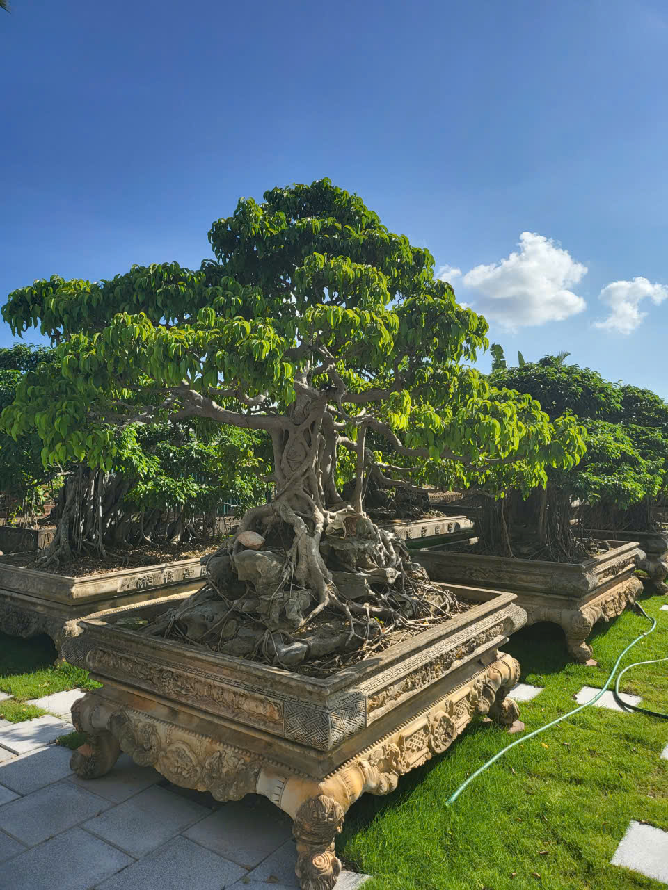 https://batdongsanviet.info.vn/uploads/images/upload/25-06-26/z7975160928163_ae372971b8fe613b65d2af7dce2f2c96.jpg