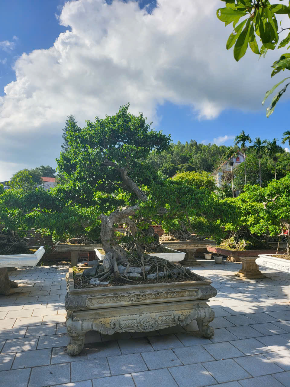 https://batdongsanviet.info.vn/uploads/images/upload/25-06-26/z7975160929546_8f903c7675953e6ac69d11de442f82cb.jpg