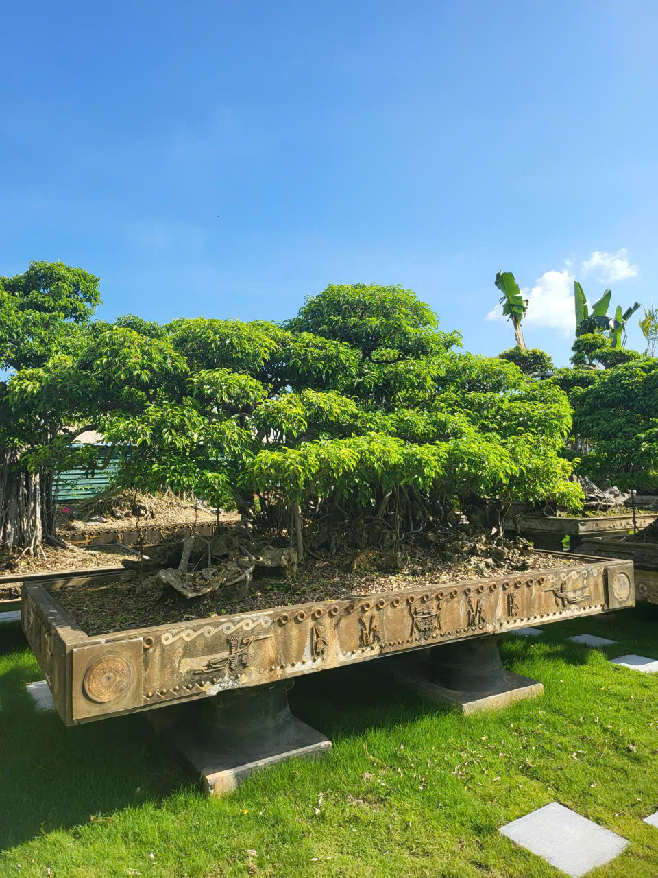 https://batdongsanviet.info.vn/uploads/images/upload/25-06-26/z7975160933065_c76a39e405f697f70132549444d17ca9.jpg