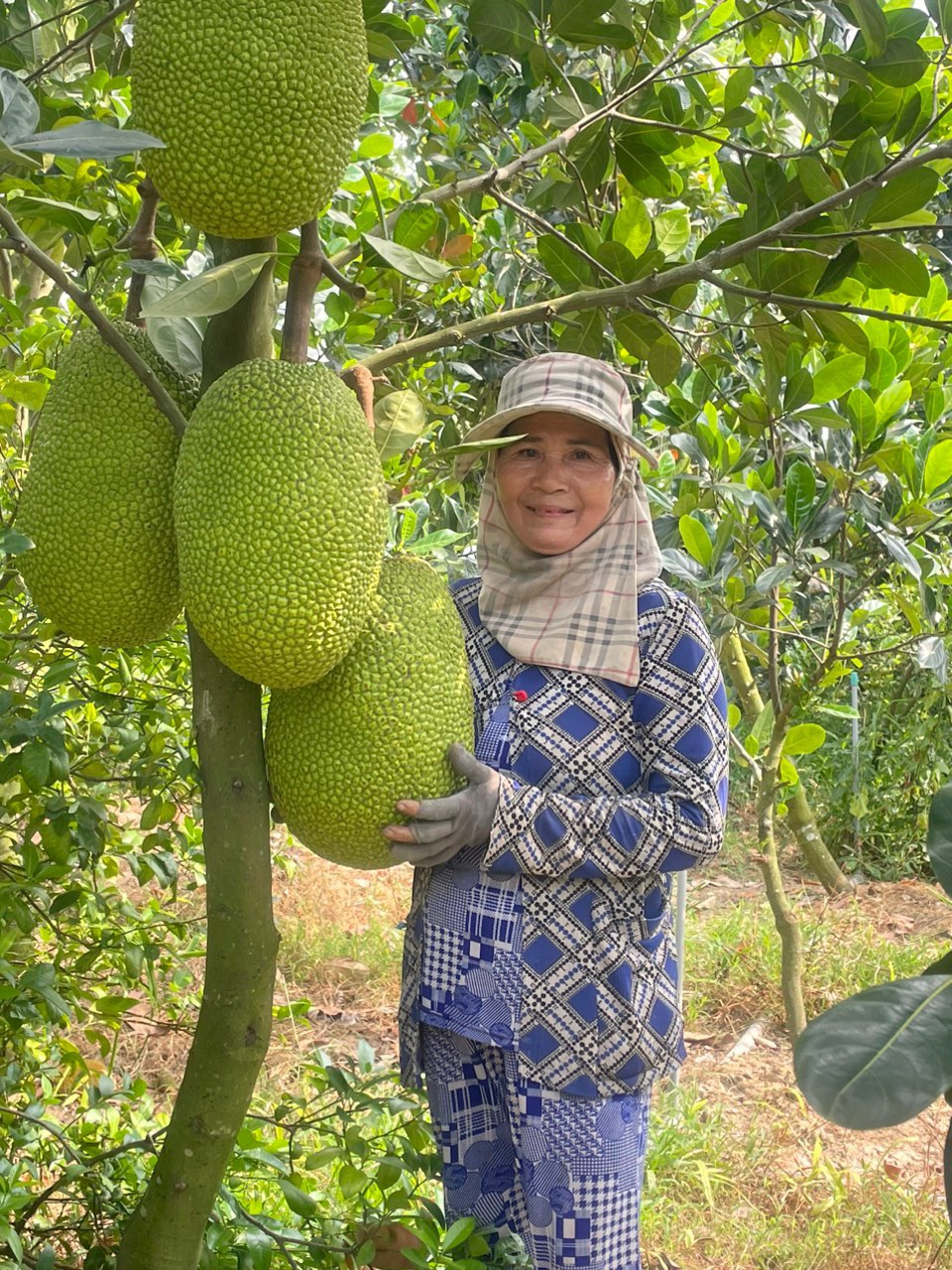 Chính chủ bán đất vườn thích hợp làm khu nghỉ dưỡng hoặc trang trại ở Cao Lãnh - Đồng Tháp.