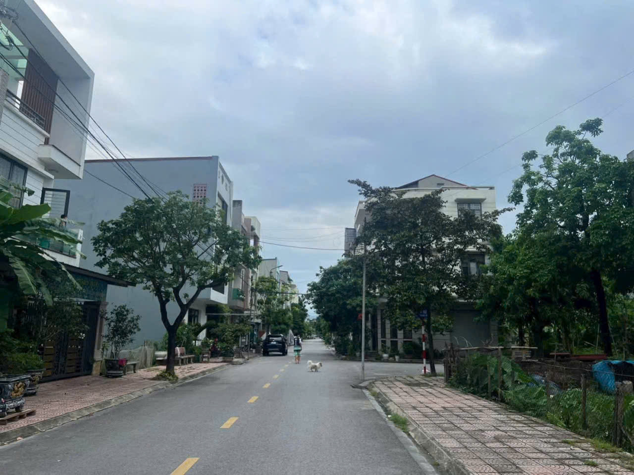 Chính chủ cần bán nhanh lô đất phố Hoàng Quy, Phường Dữu lâu cũ, Phường Việt Trì mới