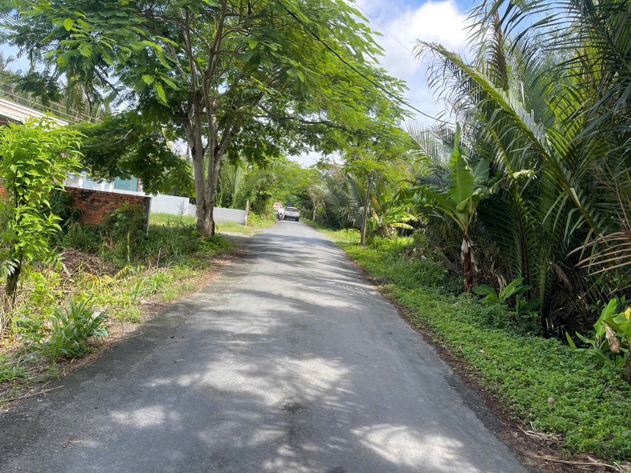 ►  BÁN ĐẤT ĐẸP ĐƯỜNG 936 – HƯỚNG PHÀ DÙ THO CŨ, THAM ĐÔN, MỸ XUYÊN, SÓC TRĂNG