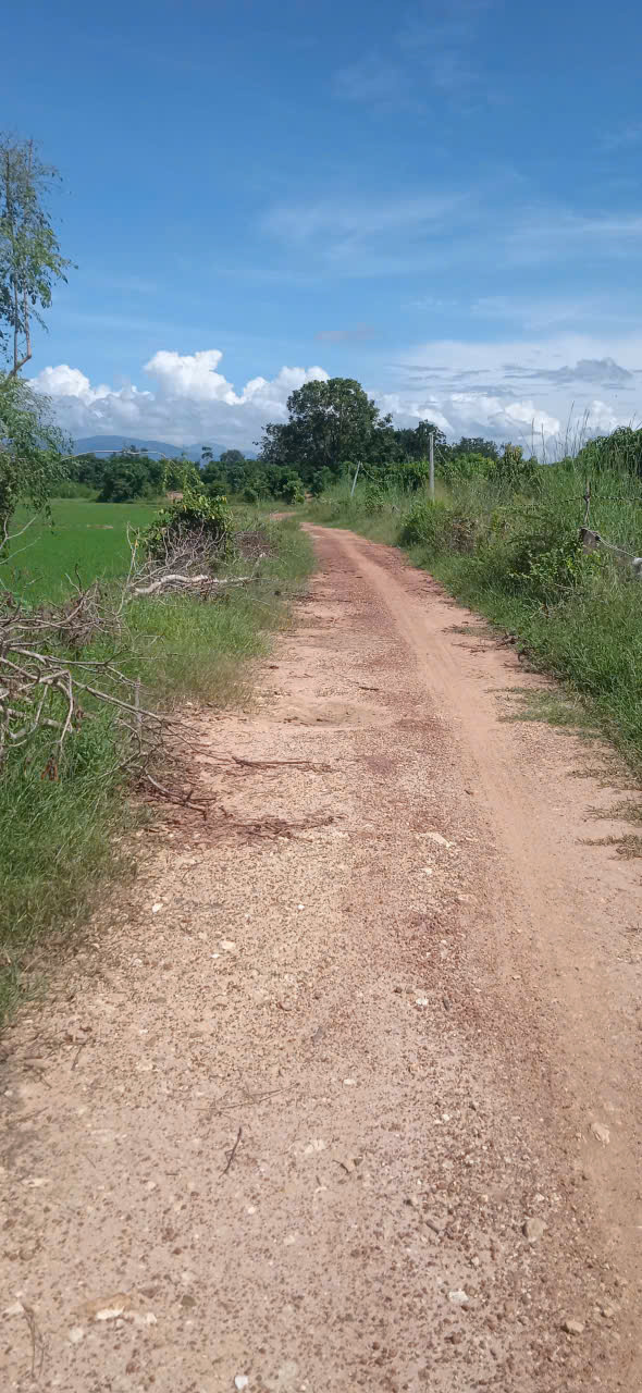 ► BÁN ĐẤT TRỒNG THANH LONG – GIÁ TỐT TẠI BÌNH THUẬN