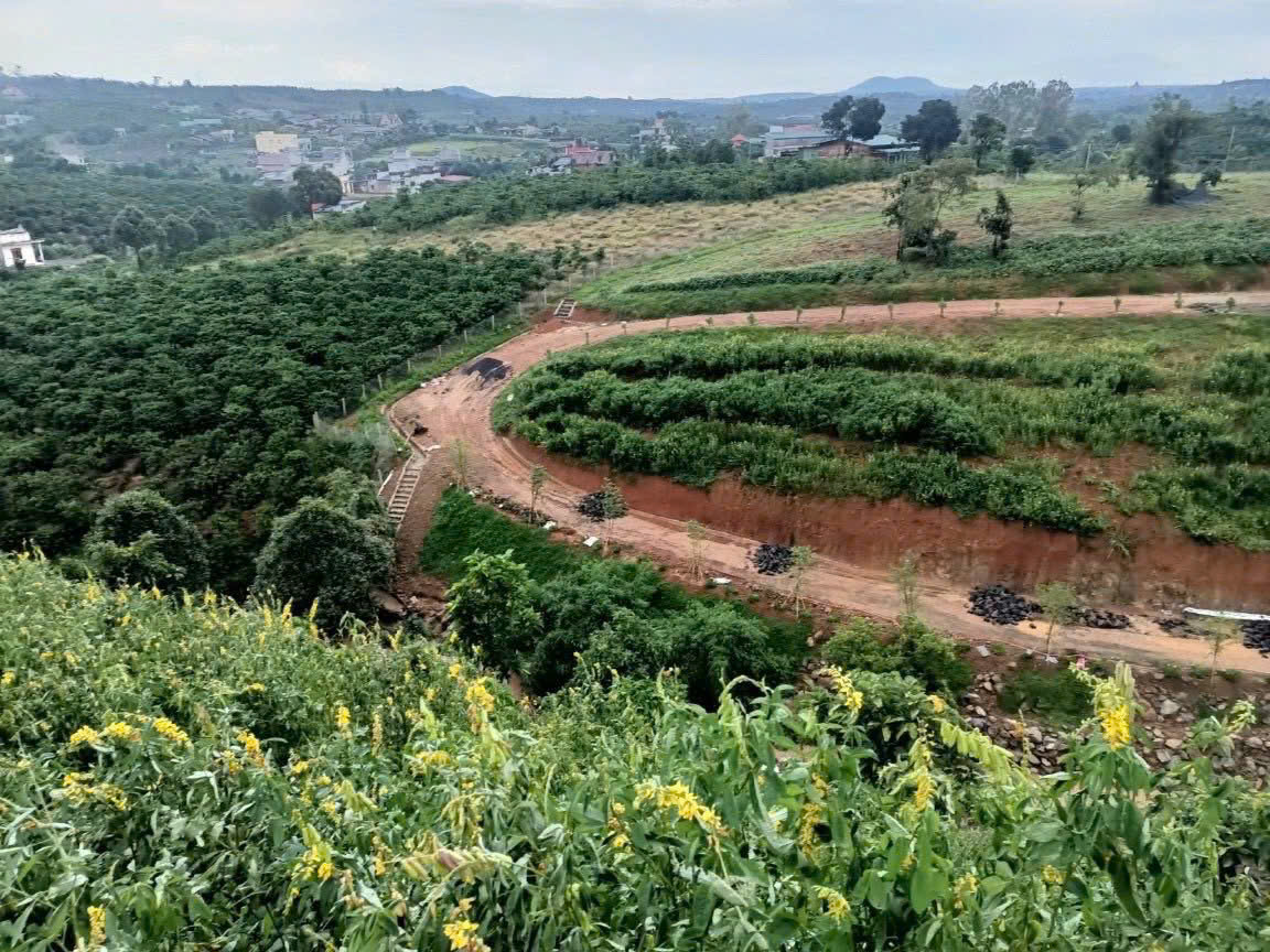 ►  (CHÍNH CHỦ) TUYỆT PHẨM ĐẤT SINH THÁI LÂM ĐỒNG – 2 MẶT TIỀN – SUỐI TỰ NHIÊN