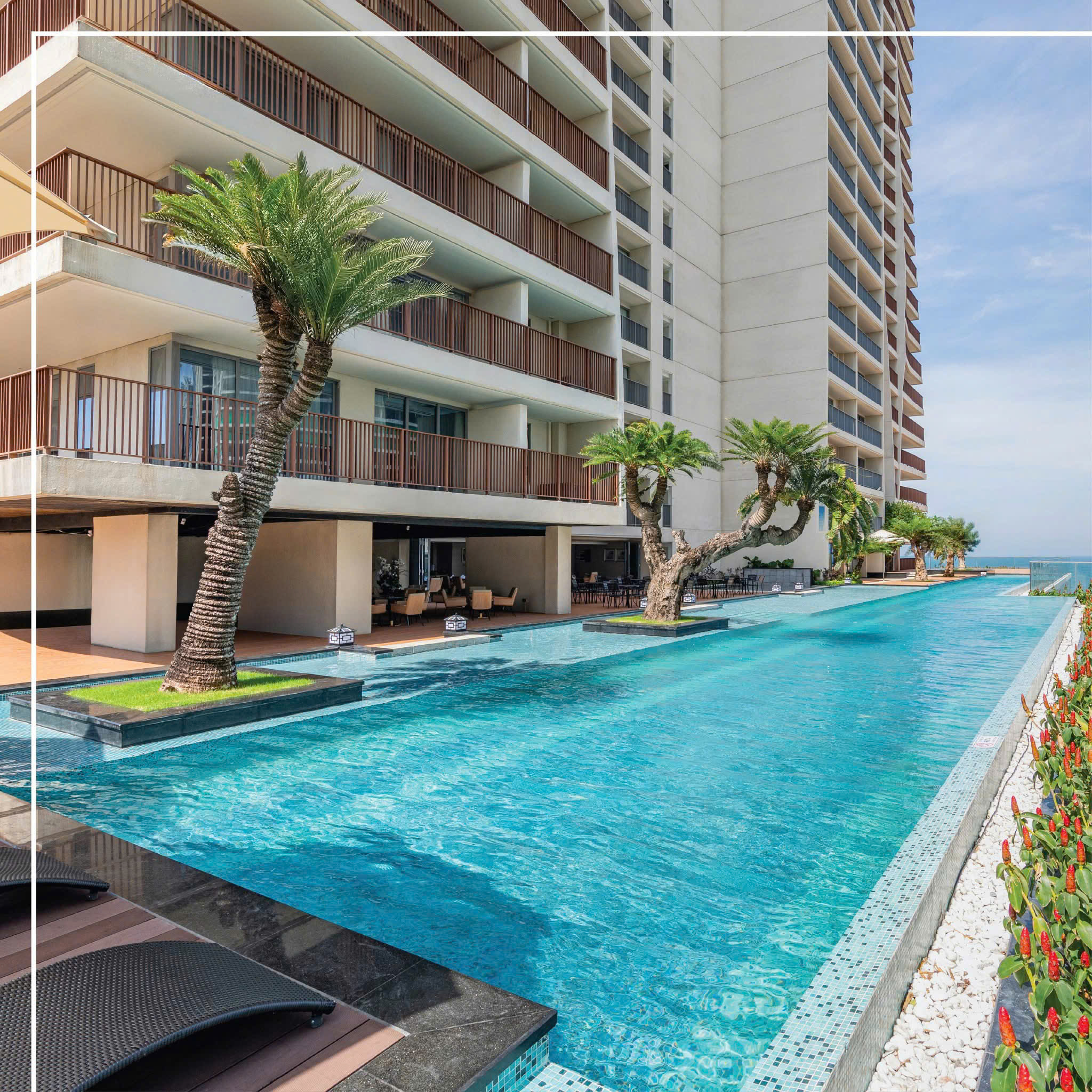 ►  CẮT LỖ – CĂN HỘ CAO CẤP VIEW BIỂN TẦNG 20 – ĐỐI DIỆN CÔNG VIÊN BIỂN ĐÔNG