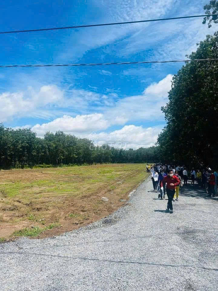 CẮT LỖ MẠNH – 2 LÔ ĐẤT LIỀN KỀ GIÁ TỐT ĐẦU TƯ