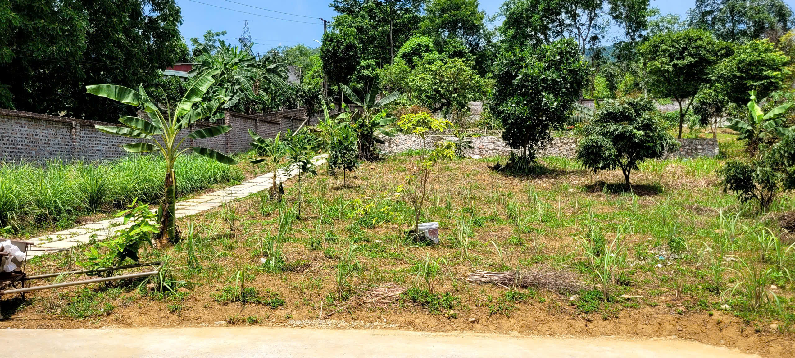 BÁN LÔ ĐẤT ĐẸP ĐÁ BẠC – LIÊN SƠN – LƯƠNG SƠN - HOÀ  BÌNH