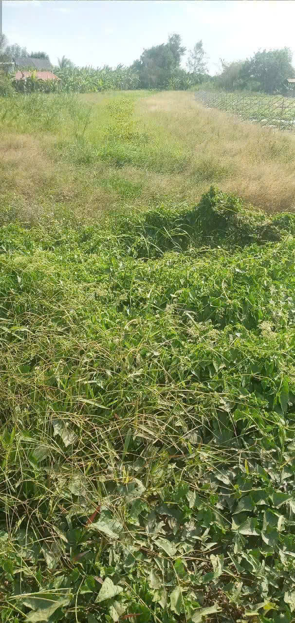 BÁN ĐẤT DIỆN TÍCH LỚN TẠI Cái Răng – TIỀM NĂNG ĐẦU TƯ CAO