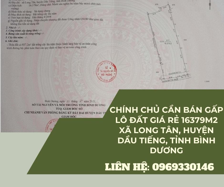 https://batdongsanviet.info.vn/chinh-chu-can-ban-gap-lo-dat-gia-re-16379m2-xa-long-tan-huyen-dau-tieng-tinh-binh-duong-j189316.html