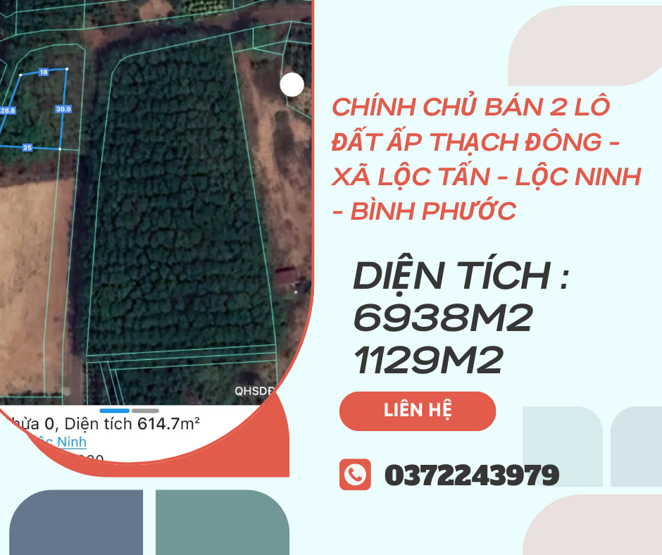 https://batdongsanviet.info.vn/chinh-chu-ban-2-lo-dat-ap-thach-dong-xa-loc-tan-loc-ninh-binh-phuoc-j189175.html